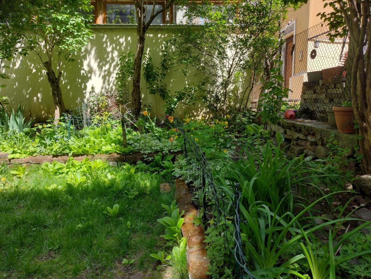 Charming Central Home With Garden Near Parking And Ndk Sofía Exterior foto