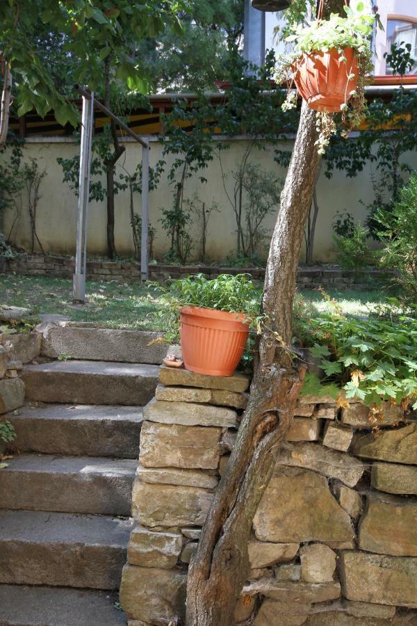 Charming Central Home With Garden Near Parking And Ndk Sofía Exterior foto